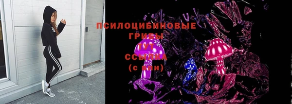 шишки Алексин