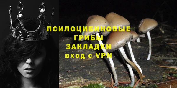 шишки Алексин