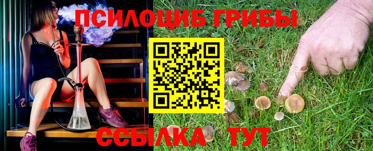 Галлюциногенные грибы Psilocybine cubensis Искитим