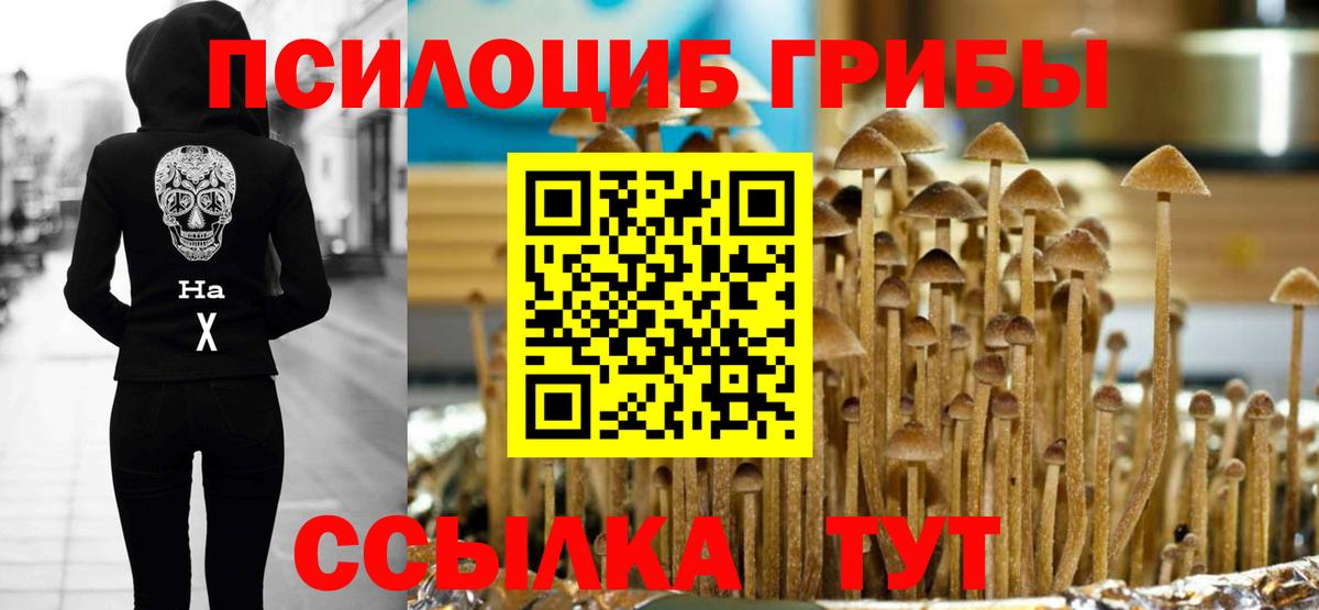 Галлюциногенные грибы Psilocybine cubensis  Галлюциногенные грибы мицелий  Вход с VPN  Искитим 